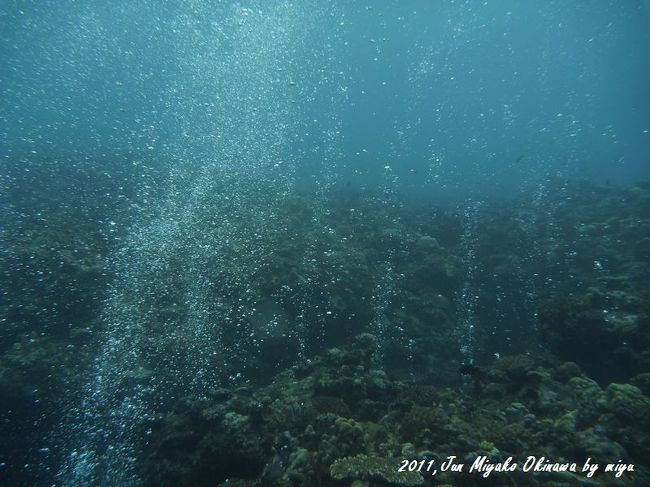 これは、したのケーブにいる人たちの息が、出ていています。<br />隙間があるんだね。逆シャワーみたい♪<br /><br />カーテンシャワーって、ガイドさんが言ってた気がする。