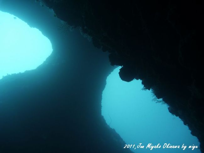 マスクみたい！