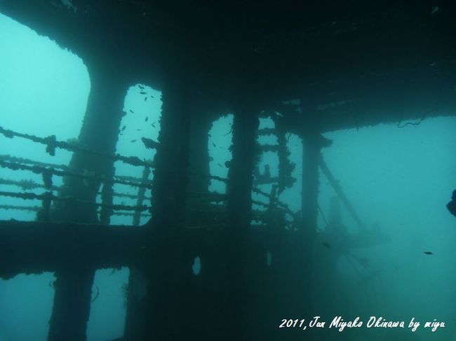 人工的に沈めた船のようで、まだきれいです。<br />形もあり魚のすみかになってます。