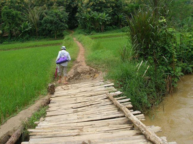 最初は田んぼの中の道と持っていたら…。
