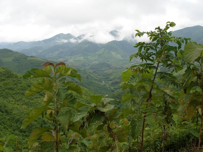 気が付いたら町から大分高くなっていた。