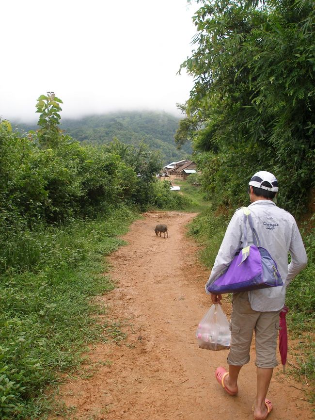 豚さんに導かれるように歩いて行くと，村が見えて来た。