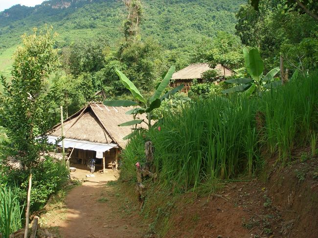 従来，ホームステェイしていたモン族のお家。今日は忙しいみたい。