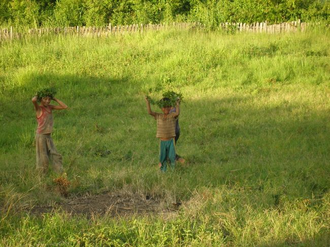 男の子達は草で作った月桂冠みたいなのをかぶって走り回っている。カメラを向けるとするっと逃げるのがかわいい。