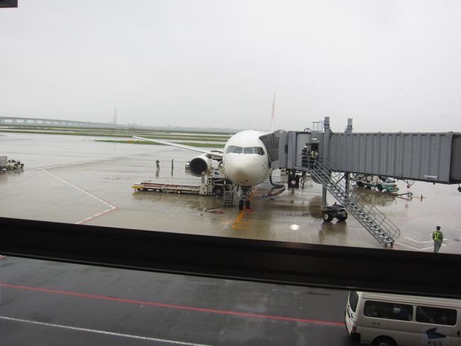 台風接近とフライトが重なった日。<br />ギリギリまで飛ぶか飛ばないかハラハラでした（汗<br />実際同じ時間で欠航になった便もありました。