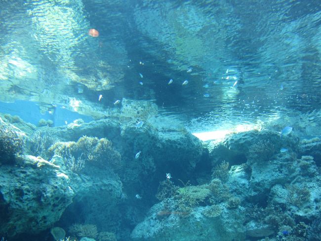 光が差し込むように設計されているのか、絶妙なコントラスト。