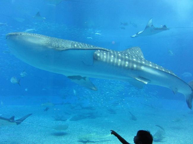 思う存分写真を撮ったので、そろそろ今晩のホテルへ向かいます。