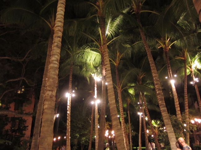 明日は早起きする予定なので、部屋に帰って寝るとしますか。