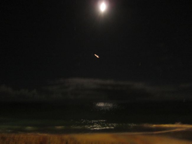 夜のワイキキビーチ。<br />月明かりに照らされた海の上を飛行機が飛んでいきます。<br /><br />これまた、「地球に生まれてよかったぁ〜」。<br /><br />今日も一日充実してました。お休みなさい。