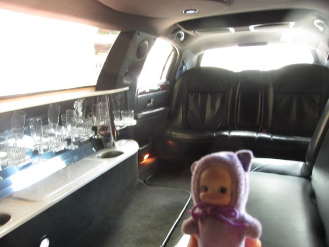 リムジンです。<br />無用に細長いです。<br />滝を見に行くだけなんだけど・・・。<br />午後のドライブもこんなのだったら困るなぁ。