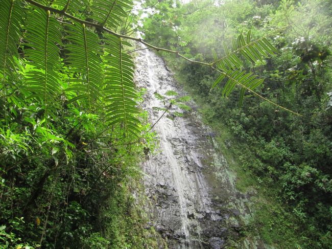 歩くこと30分。<br />目の前に滝が！<br />ただ、残念ながら、思っていたほど水量がなく、勢いが弱かったです。