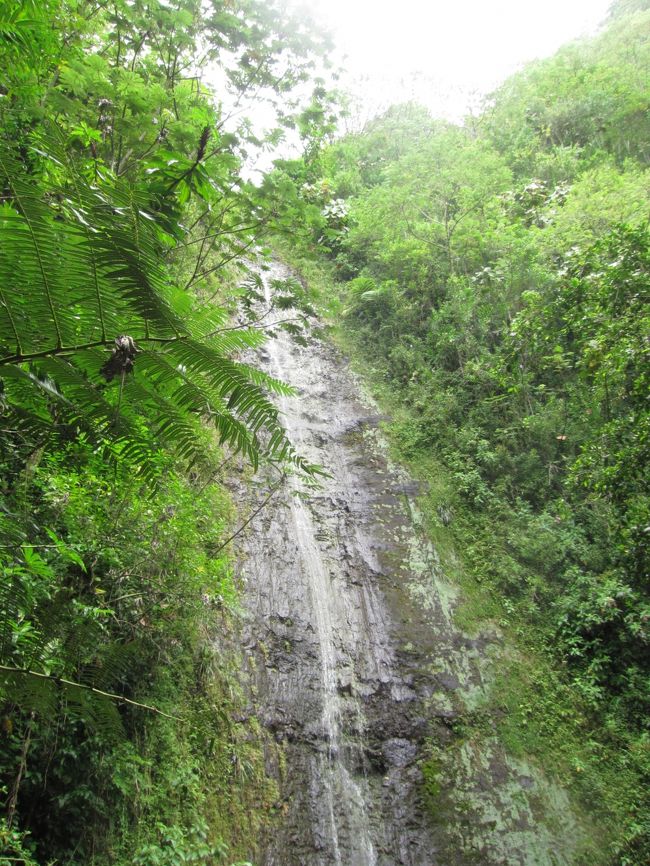 もっとザバーンと流れていて、水しぶきが飛んでくるって感じだったらなおよかったのですが・・・。<br /><br />でも、緑のパワーと滝のマイナスイオンでなんか浄化されたような気分です。<br /><br />山の天気は読めないとはよく言ったもので、下りは本降りの雨に会いました。が、登山口ではすっかり止んでいました。
