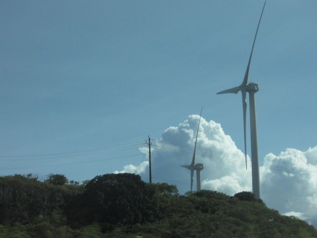 ハワイでは風力発電もしているんですね。