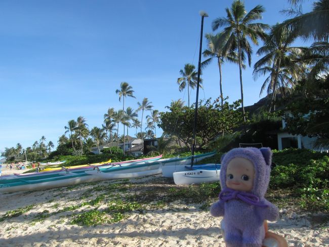 ひたすら一直線に水平線が走っていて、太平洋って大きいんだなぁ、と実感。<br />