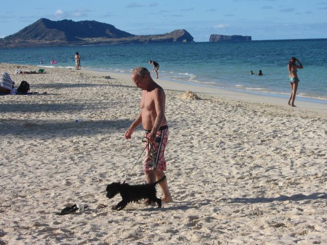 なんだかとっても落ち着いた感じの、ゆっくりした空気が流れるビーチでした。