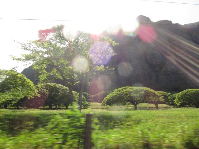ラニカイ周辺は山もあって、「この木なんの木」みたいな木もいっぱいありました。<br /><br />楽しいドライブです。
