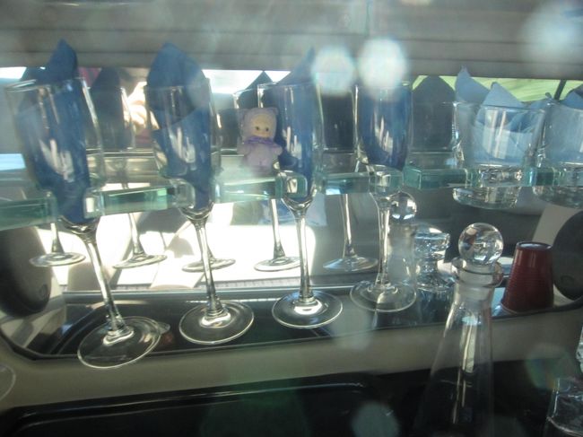 ちなみに、午後もやっぱり細長いリムジンでした。<br />道中の写真を撮るには、窓の開かないリムジンは不向きです。<br /><br />外のおいしい空気も吸えないし・・・