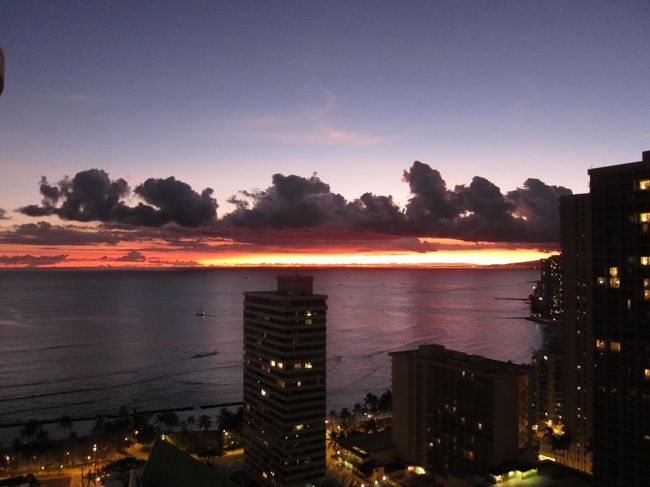 ハワイさん、楽しい日々をありがとうございました。<br />