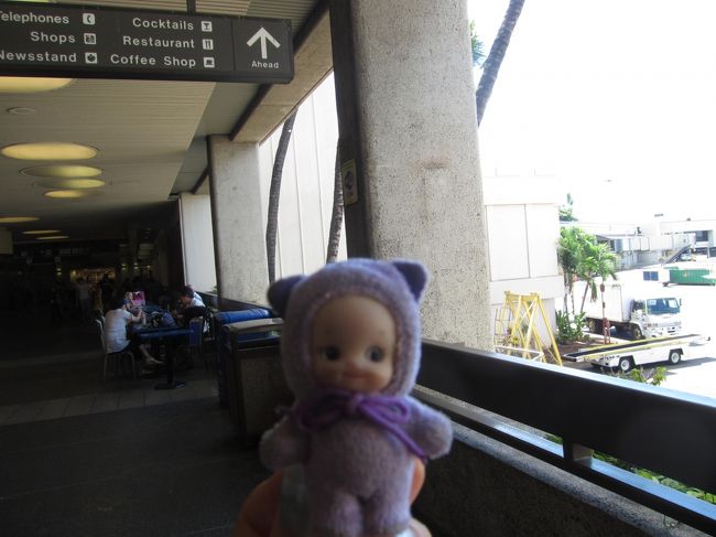 さぁ、11：00過ぎの飛行機で日本に帰ります。<br />搭乗までに時間があるので、空港をひとまわり。