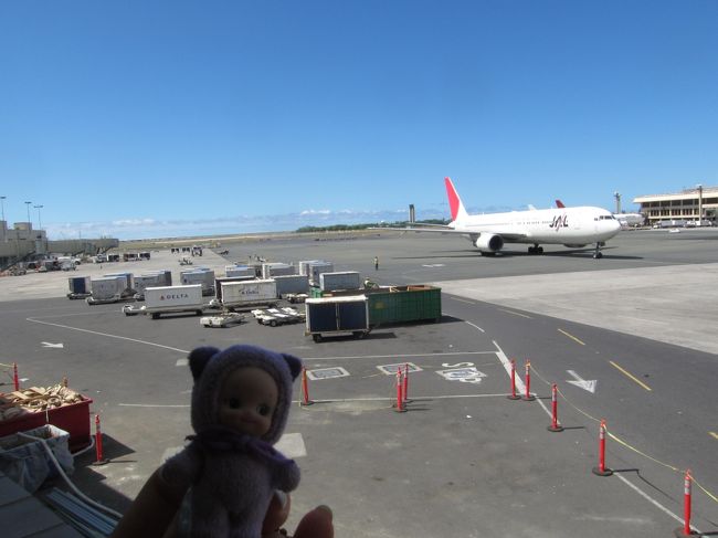 JALが到着しました。<br />おなかが開いてコンテナが出てくるところとか、特殊な形の貨物を出すところとか、折り返しの便の操縦士が機体をチェックしているところとか、ぼんやり眺めていたらうっかりしていて自分の飛行機に乗り遅れるところでした・・・