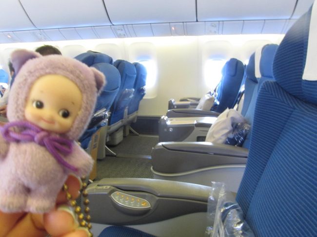 帰りの飛行機。<br />ガラガラです。