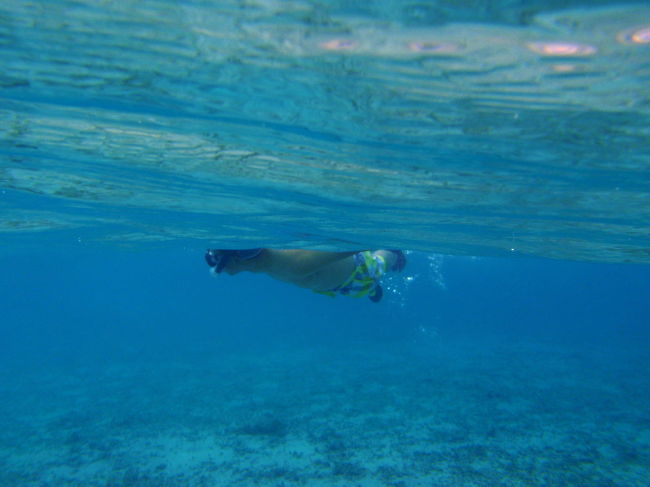 あのお方は、どこに？