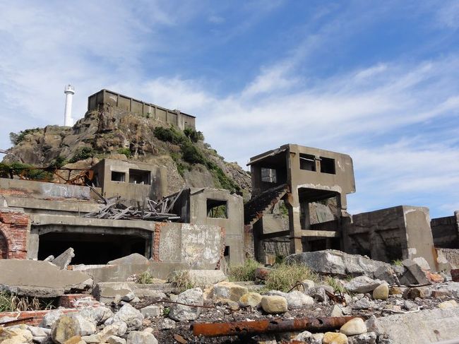 30年以上放置しているので荒れに荒れています。