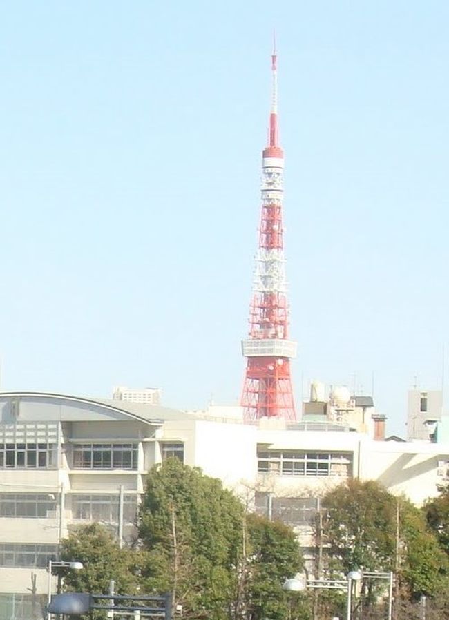 子供と六本木ヒルズ 六本木 東京 の旅行記 ブログ By Docomoさん フォートラベル