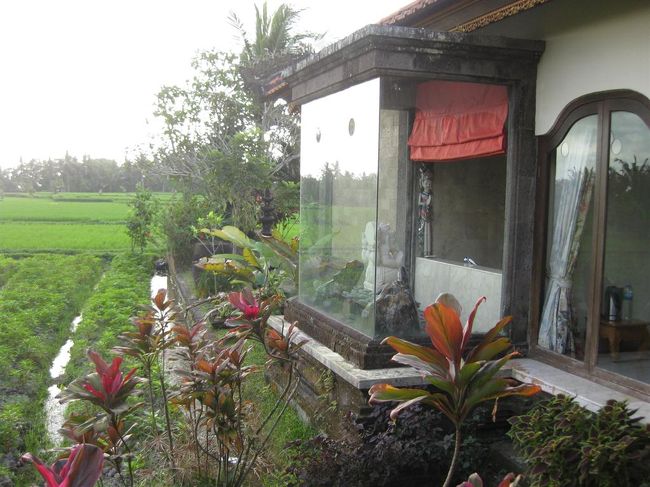 私たちの部屋からの眺め。<br />４０７号室<br /><br />ヴィラみたいに独立したおうちになってます。