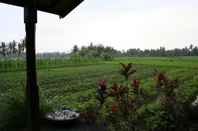 この景色をバルコニーから眺めてるだけで<br />心が癒されます。<br /><br />