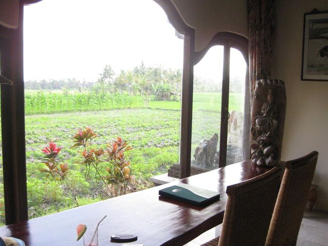 朝起きて、カーテン開けるとこんなすてきな景色が目の前に広がります。