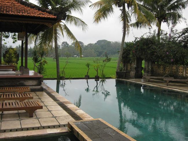 プール。<br /><br />