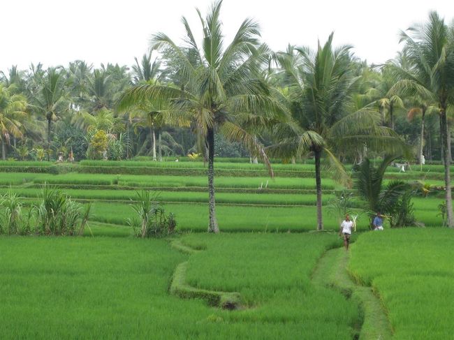 田園地帯にでた。<br />