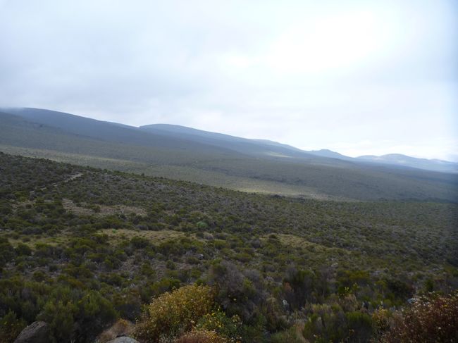 丘を横切るような感じで歩きます