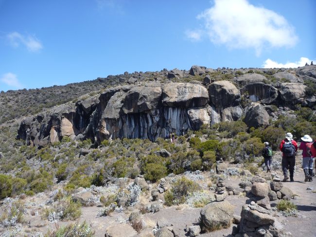 ゼブラロックです