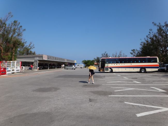 9時半頃ですが早くも観光バスが来ています。