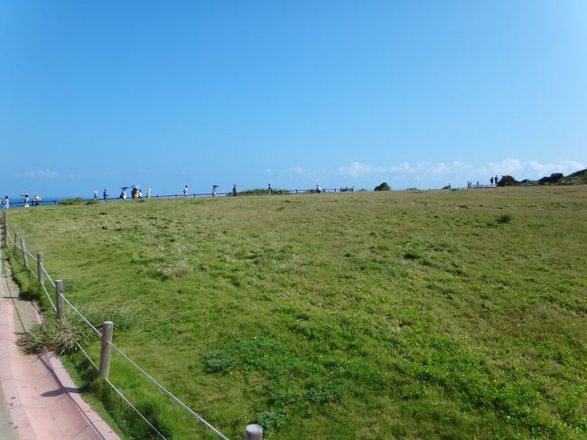 1周10分の遊歩道です。