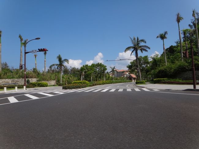 ホテルを通過し、<br />ナゴパイナップルパークへ向かいます。