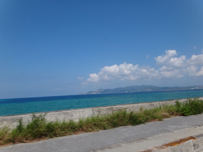 ブセナテラス周辺の海も青くキレイです。