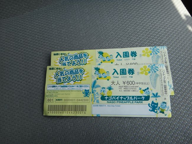 通常大人600円の入場料が300円で販売されています。