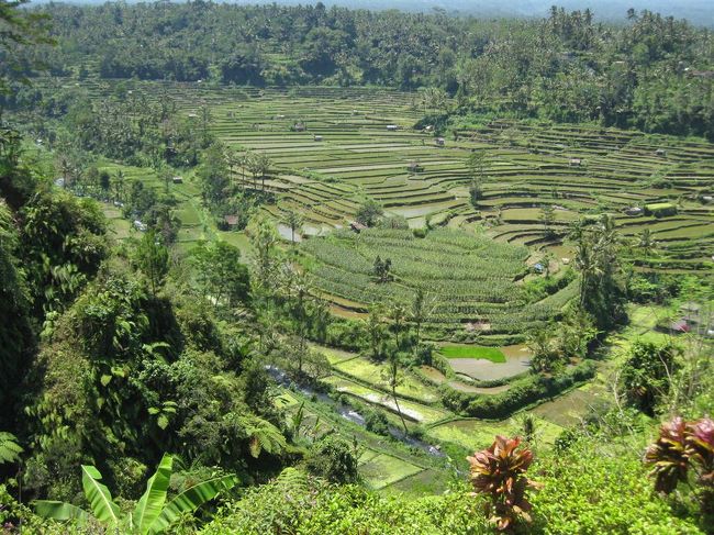 Tegal la langのライステラスもいいけど<br />ここの方が好きかも。。<br />