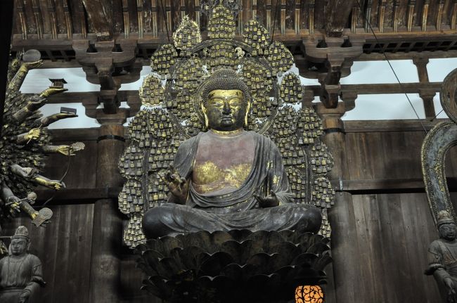  <br />☆国宝　奈良時代（８世紀）<br />脱活乾漆　漆箔<br />金堂の本尊で高さは、３メートルを超え、光背の高さは、5.15ｍにもおよぶ巨像です。奈良時代に盛んに用いられた脱活乾漆造でその造形は雄大さとやわらかさを併せ持ち、唐代の仏像に通じる唐招提寺のご本尊にふさわしい仏像です。<br />また、背後の光背の化仏の数は、864体ありますが、本来は1000体であったといわれています。 <br /> 