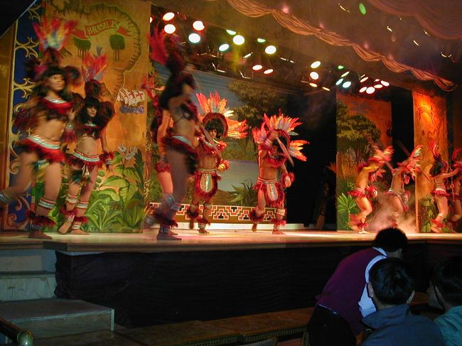 華麗なリオのナイトショー１