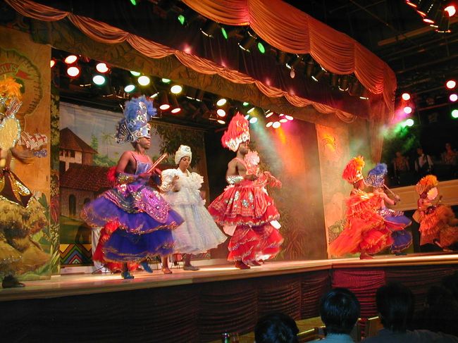 華麗なリオのナイトショー２