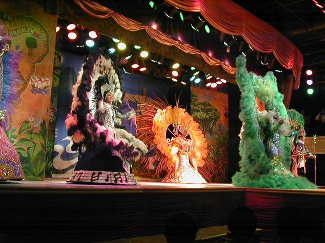 華麗なリオのナイトショー４