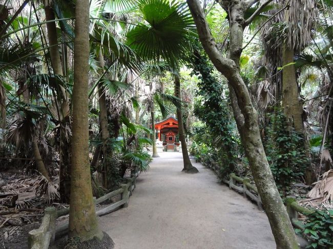 神社の右の植物が生い茂った道を抜けていくと元宮があります。