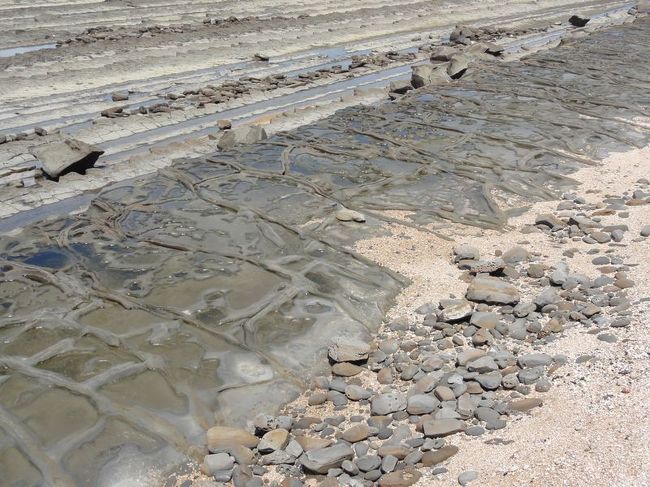 中にはこんな見た目のものもあり、これらは特別に鬼の血管と命名しました。はい、勝手に命名しましたｗ