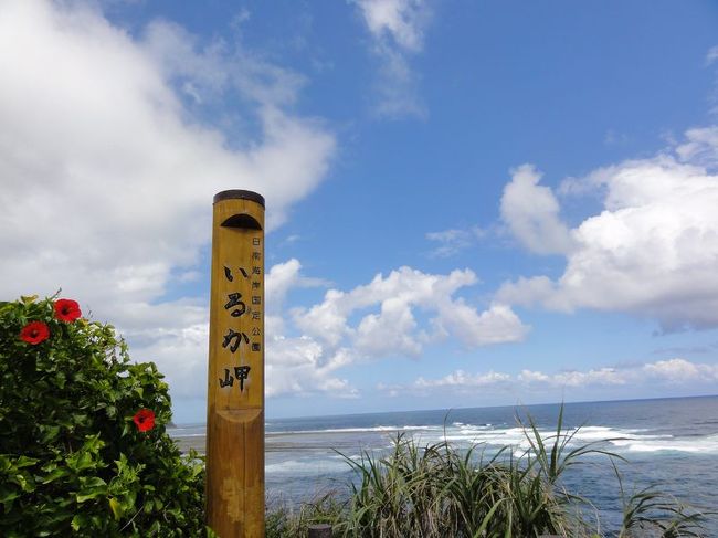 続いて都井岬方面に車を走らせます。<br /><br />しかし、道すがらトルパがたくさん。<br /><br />解説しようトルパとは、美しい写真が撮れるパーキングのことで、写真を「トル」とパーキングの「パ」を組み合わせた造語です。国の施策ですからインチキ造語ではないですよ。