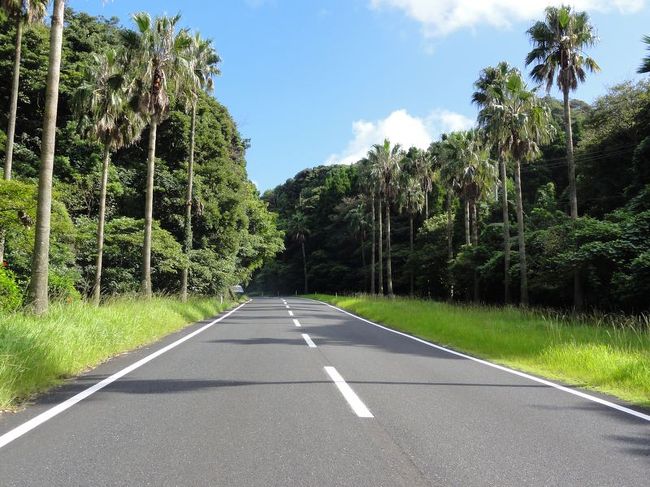 こちらは、ハワイのカウアイ島です。<br /><br />うそです。