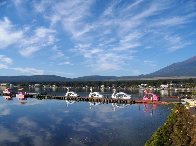 早朝 山中湖畔にて、逆さ富士を眺める ！』富士五湖(山梨県)の